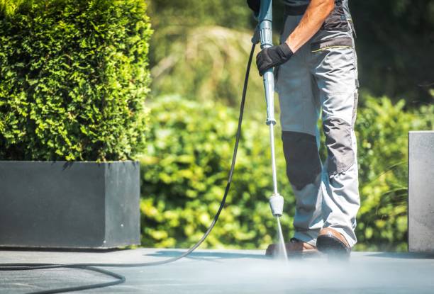 Professional  Pressure Washing Services in Bodfish, CA